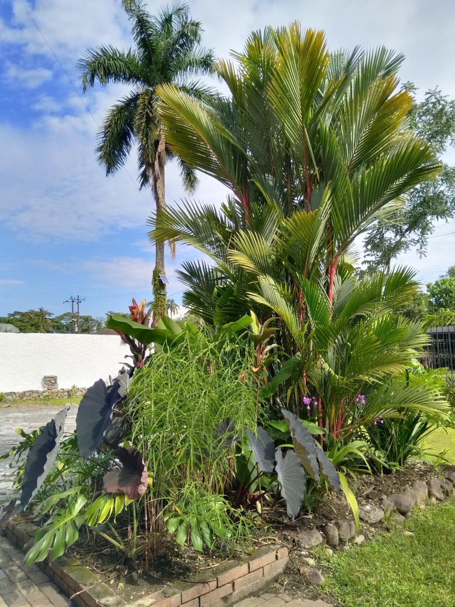Doral House Villavicencio Bavaria Ngoại thất bức ảnh